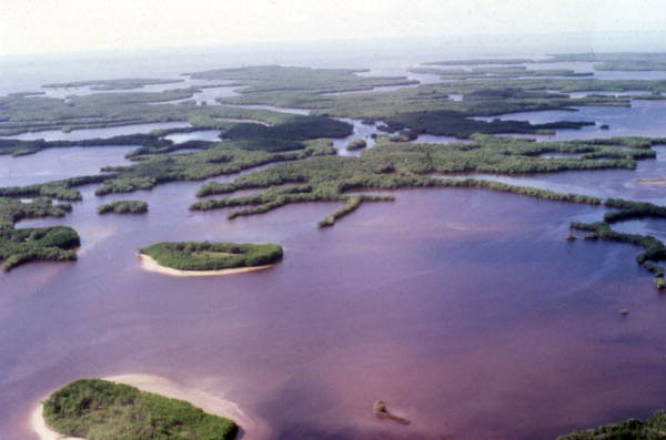 Ten Thousand Islands Everglades National Park Boat Tours